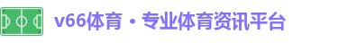 v66体育